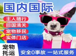 西宁曹家堡航空快运国际宠物托运 【国
